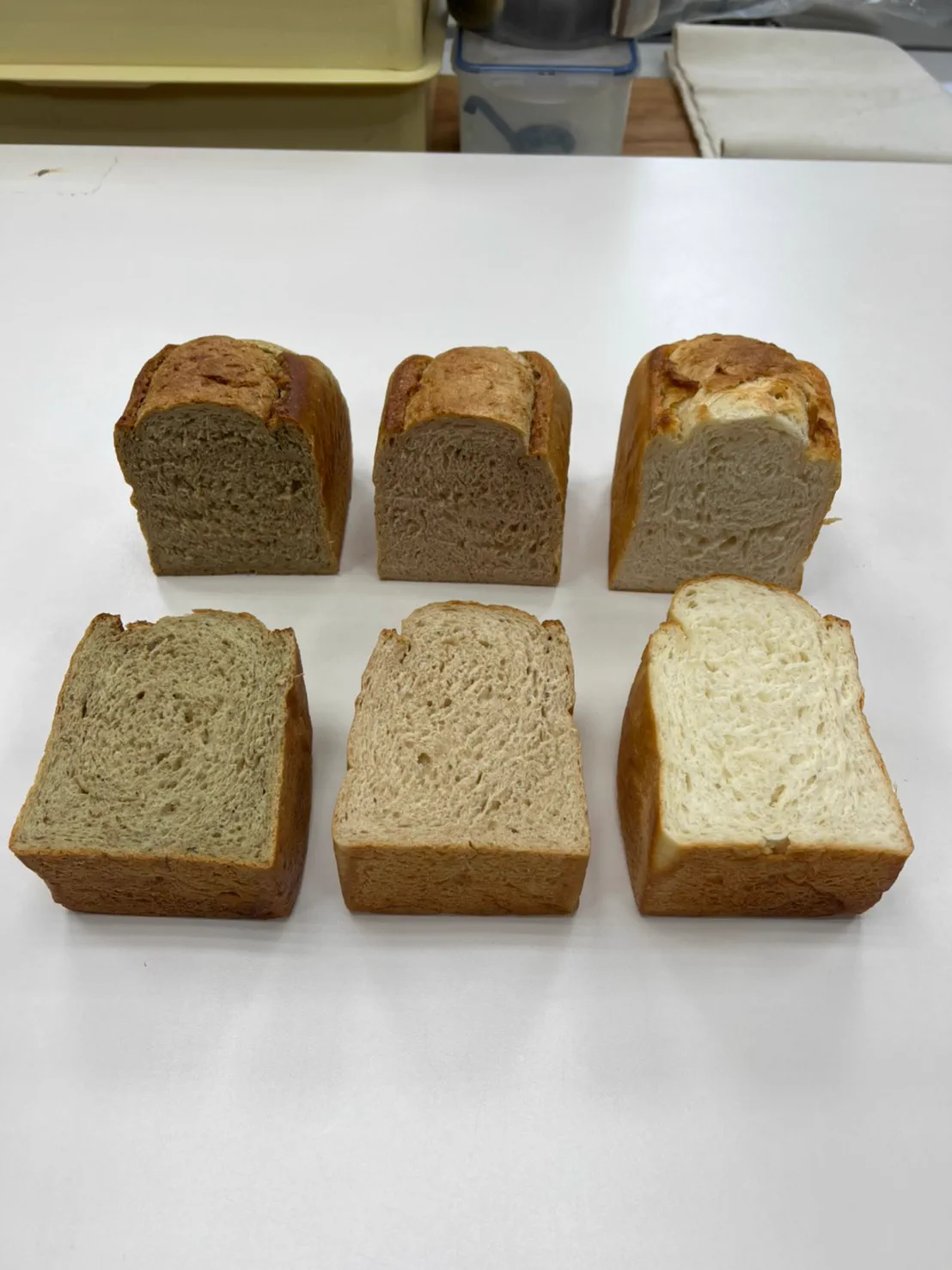 瑪德蓮(綠豆牛奶餡)